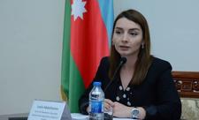 Terrorçu-diversant qrupu heç bir vəchlə hərbi əsir hesab edilə bilməz - Leyla Abdullayeva - MÜSAHİBƏ
