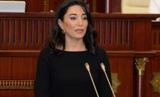“Kompleks tədbirlər əhalinin hər bir qrupunun hüquqlarının təmin edilməsinə xidmət edir”