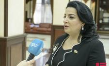 Deputat: “Artıq peşə məktəbləri müasir standartlara cavab verir”