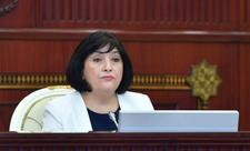 Spiker: “Fransa Senatında Azərbaycana qarşı çirkin siyasi aksiya təşkil olunub”