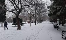 Bakıya ilk qar yağdı - FOTO