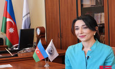 Ombudsman Ermənistan tərəfindən basdırılmış minaların xəritələrinin verilməsini tələb edib