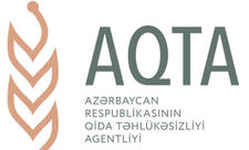 Kənd təsərrüfatı məhsullarına ziyan vuran viruslar yayılır - AQTA