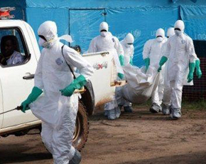 “Bakıya Ebola virusu daşıyıcılarının gəlməsi məlumatı doğru deyil”