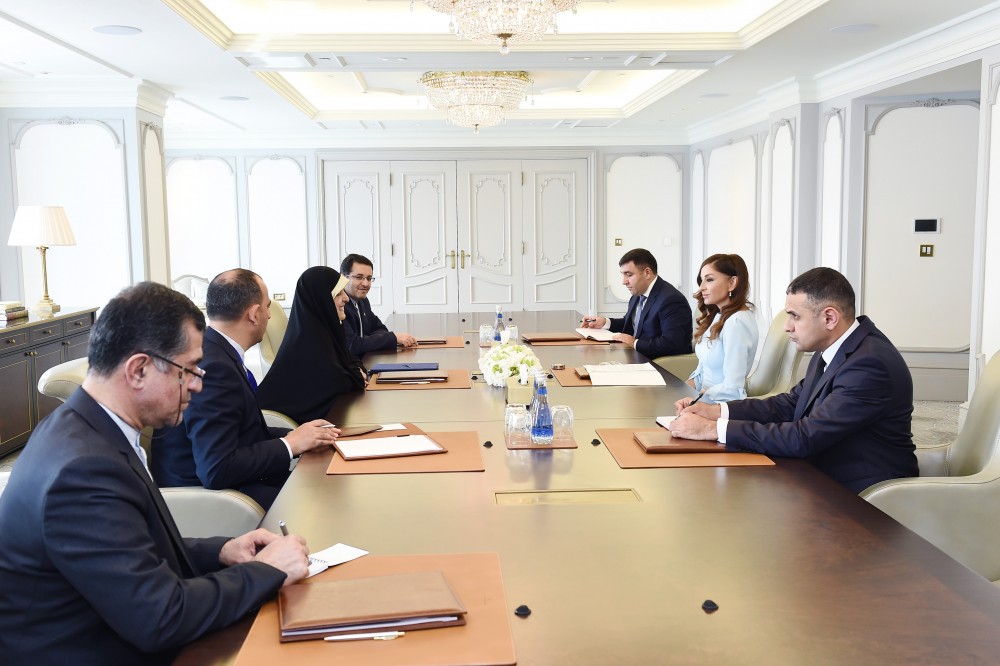 Birinci vitse-prezidenti Mehriban Əliyeva İran Prezidentinin qadın və ailə məsələləri üzrə müavini ilə görüşüb