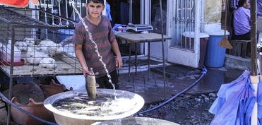 Cəhalətin girdabında...