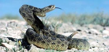 İlan sancmaları zamanı nə etmək lazımdır?