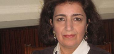 “Koalisiya siyasi çevrələrin təsirindədir”