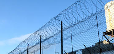 Amnistiya aktı indiyədək 12 mindən çox şəxsə tətbiq edilib