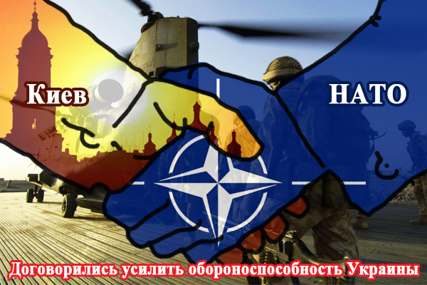 NATO Ukraynaya ordu yeridə bilər?