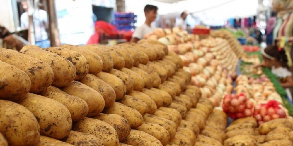 Kartof bazarında mövcud vəziyyət