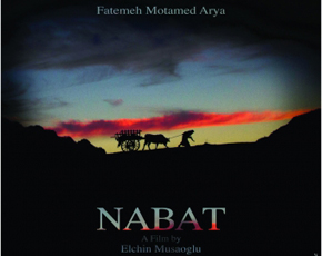 “Nabat” Beynəlxalq Film Festivalında 3 mükafata layiq görülüb