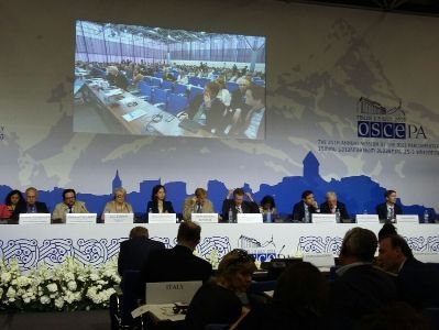 Ermənistan ATƏT PA-nın Tbilisi bəyannaməsindən narazı qalıb