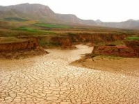 Tufarqanda su çatışmamazlığı problemi yaşanır