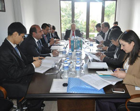 Türkdilli Ölkələrin regional diaspor mərkəzləri yaradılacaq