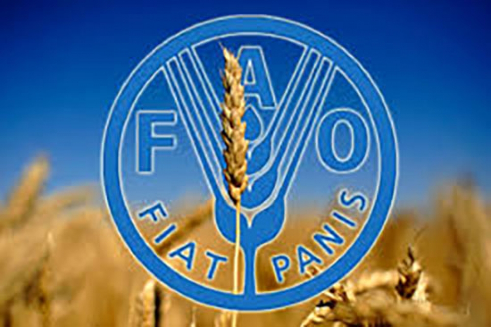 FAO: sentyabrda dünya ərzaq qiymətləri sabit qalıb