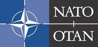 "NATO ölkəmizin ərazi bütövlüyünə siyasi dəstək verir"
