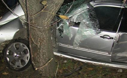 Qəbələdə "Nissan"ı ağaca çırpan sürücü öldü