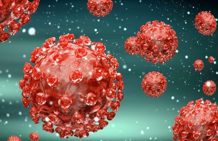 Dünyada son sutkada koronavirusdan 6539 nəfər ölüb