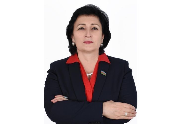 Millət vəkili: “Ermənistan acınacaqlı duruma düşüb, Paşinyan kataklizmlərin qarşısını ala bilməyəcək”