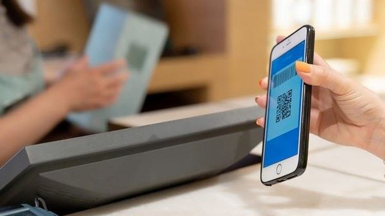 Rusiyanın paytaxtında kağız pasport mobil tətbiqlə əvəzlənəcək
