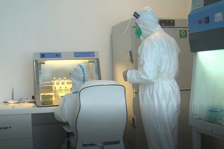 TƏBİB: Daha 4006 nəfər koronavirus testindən keçib