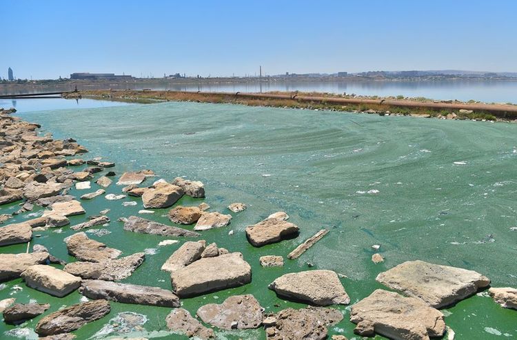Anar Cəbrayıllı: "Böyükşor gölünə “Azərsu”ya məxsus kanalizasiya infrastrukturundan tullantı suları axıdılmır"