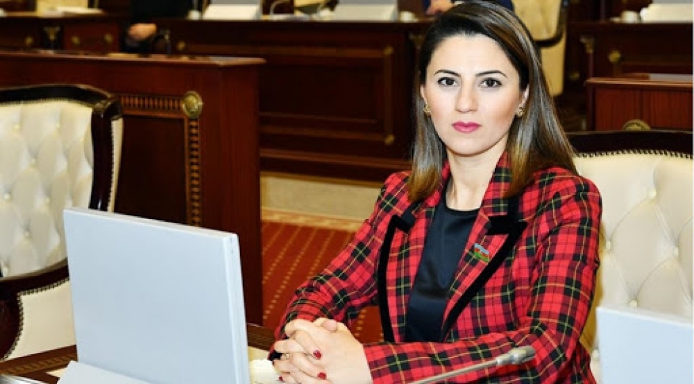 Deputat: Ermənistan bilməlidir ki, Azərbaycan öz torpaqlarının işğalı ilə heç zaman barışmayacaq