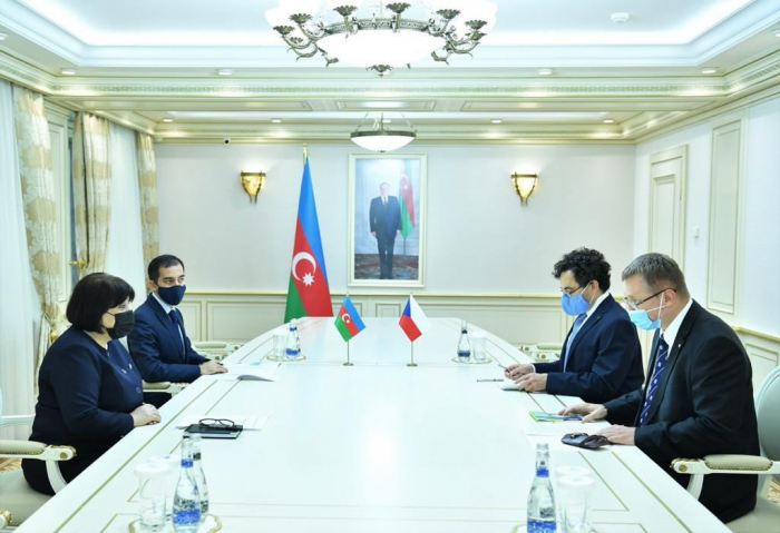 “Azərbaycan Çexiya üçün vacib strateji tərəfdaşdır”