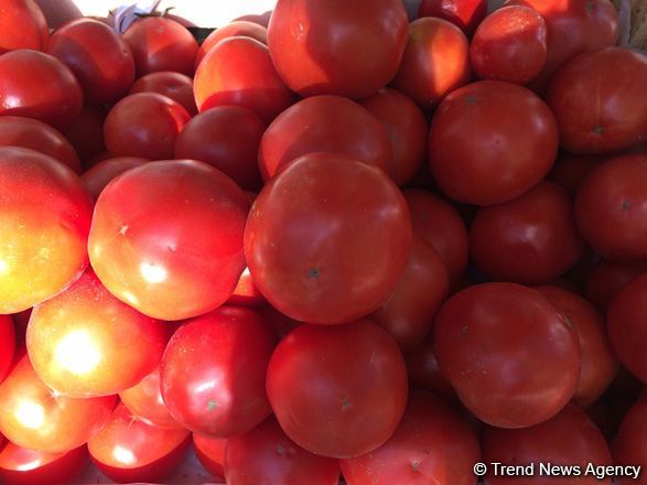 Rusiya Ermənistandan pomidor idxalını dayandırır