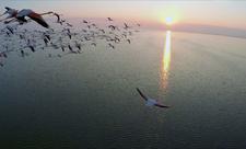 İşğaldan azad edilən ərazilərdəki qoruq və yasaqlıqlar bərpa ediləcək - FOTO