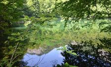 İşğaldan azad edilən ərazilərdəki qoruq və yasaqlıqlar bərpa ediləcək - FOTO