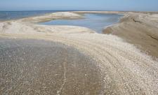 İşğaldan azad edilən ərazilərdəki qoruq və yasaqlıqlar bərpa ediləcək - FOTO