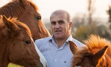 Kəndimiz işğal olunanda nəsli kəsilməsin deyə, Qarabağ atlarını Bakıya gətirdim - Şəmsəddin Atayev - FOTO