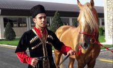 Kəndimiz işğal olunanda nəsli kəsilməsin deyə, Qarabağ atlarını Bakıya gətirdim - Şəmsəddin Atayev - FOTO
