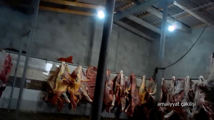 Salyanda 10 ton ölmüş at və mal əti satan şəxslər saxlanılıb