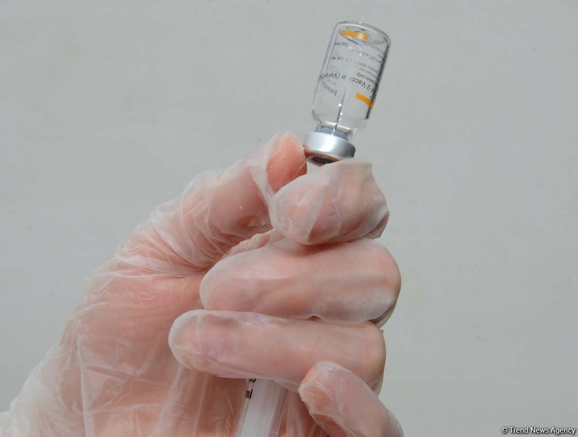 Dünyada vaksindən ölüm faktı qeydə alınmayıb - Baş infeksionist