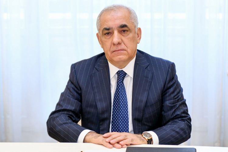 Əli Əsədov: “Azərbaycan 2030-cu ilə qədər istilik effekti yaradan qazların azaldılmasını hədəfləyib”