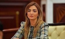 «Решение Милли Меджлиса - составная часть независимой политики Азербайджана»
