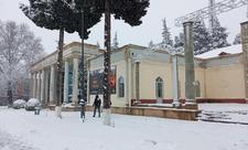 Tovuz rayonu ağ örpəyə büründü - FOTO