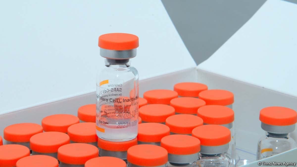 Azərbaycan dünya üzrə vaksini ilk əldə edən ölkələrdən oldu - Deputat