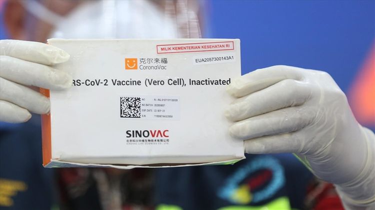 Gürcüstana bu ayın sonunadək “Sinovac” vaksini çatdırılacaq