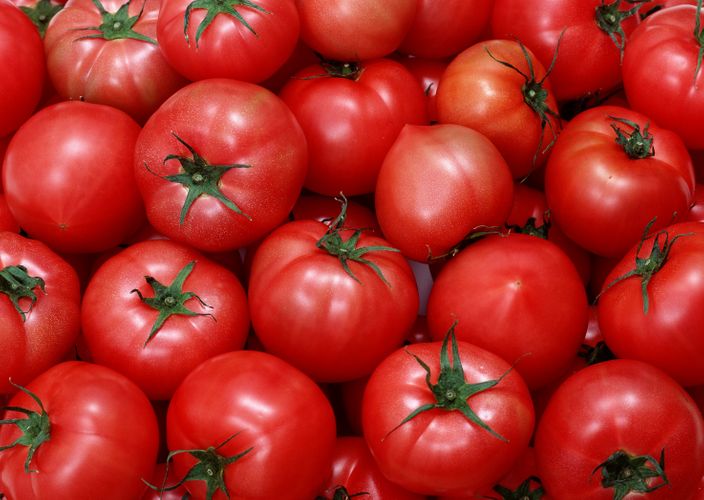 Azərbaycanın daha 7 müəssisəsinə Rusiyaya pomidor ixrac etməyə icazə verilib