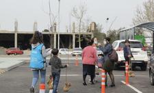 “Yaşıl Marafon” çərçivəsində Şəmkirdə ağac tingləri paylanılıb - FOTO