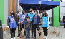 “Yaşıl Marafon” çərçivəsində Şəmkirdə ağac tingləri paylanılıb - FOTO