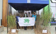 “Yaşıl Marafon” çərçivəsində Şəmkirdə ağac tingləri paylanılıb - FOTO