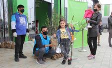 “Yaşıl Marafon” çərçivəsində Şəmkirdə ağac tingləri paylanılıb - FOTO