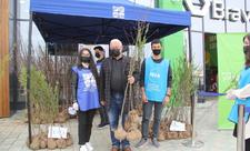 “Yaşıl Marafon” çərçivəsində Şəmkirdə ağac tingləri paylanılıb - FOTO