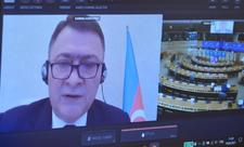 Milli Məclisin deputatları Avronest PA-nın 9-cu sessiyasında iştirak ediblər