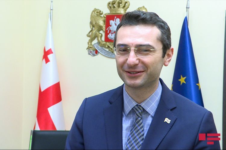 Gürcüstan parlamentinə yeni sədr seçilib
